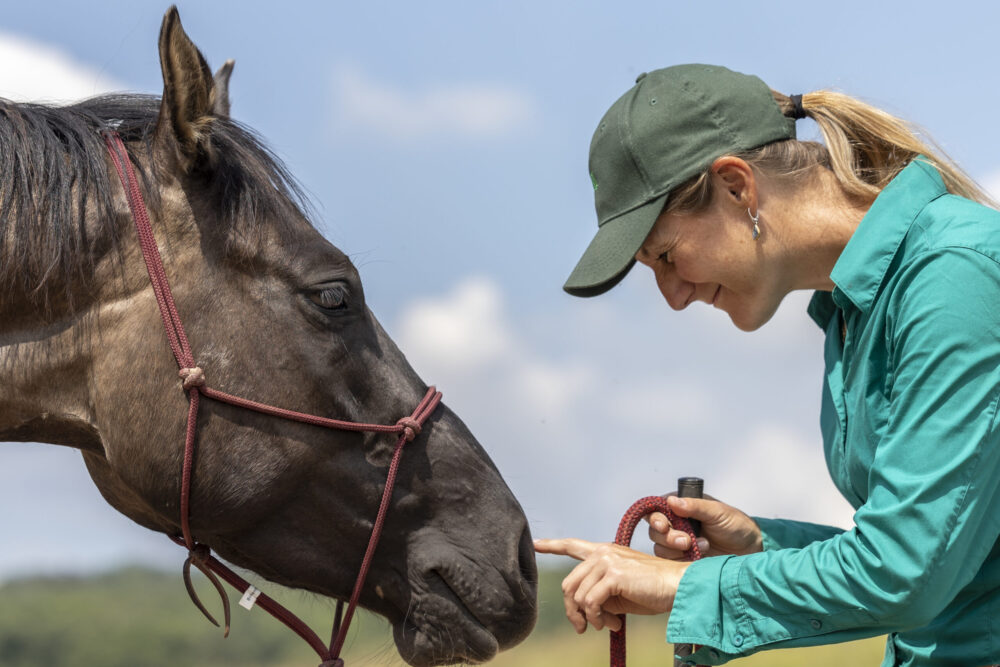 Unser nächster Kurs: Go natural! Horsemanship für Beginner (Level 1)
