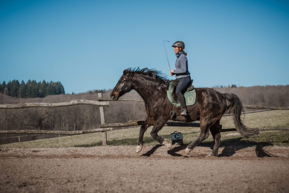 Unser nächster Kurs: „Jetzt geht der Spaß erst richtig los! Horsemanship im Level 3“