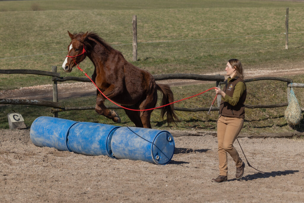 Unser nächster Kurs: 