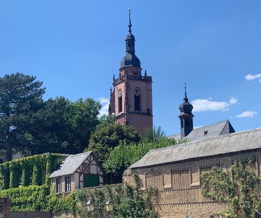 Evangelischer Open-Air-Gottesdienst: Mit Gefühl - Tieren begegnen